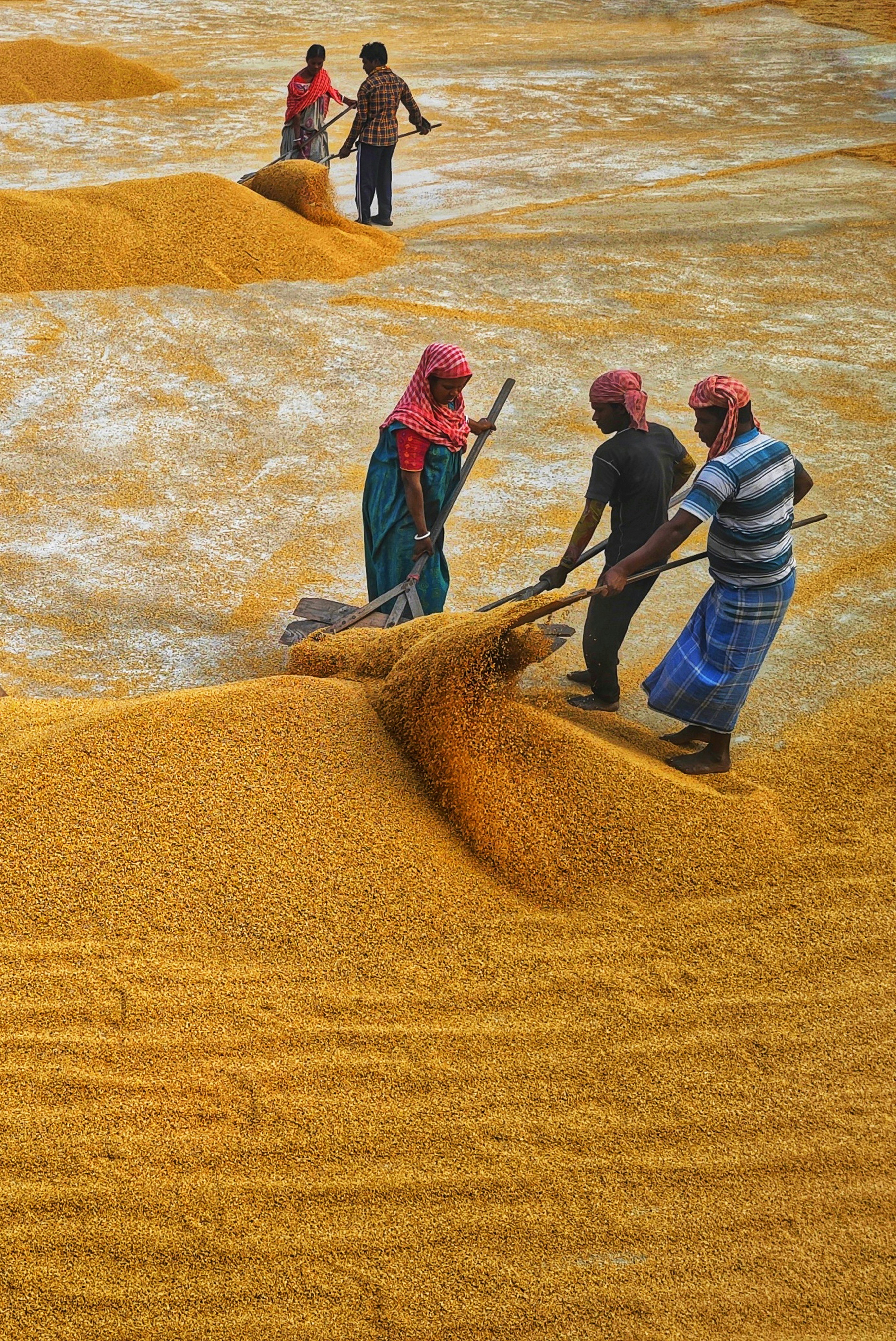 Agribusiness partners inspecting grain supply